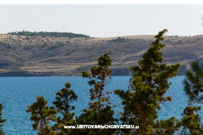 Apartmani Stošić – foto 12