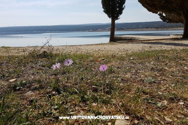 Apartmani Tena,  prvi red do mora – foto 45