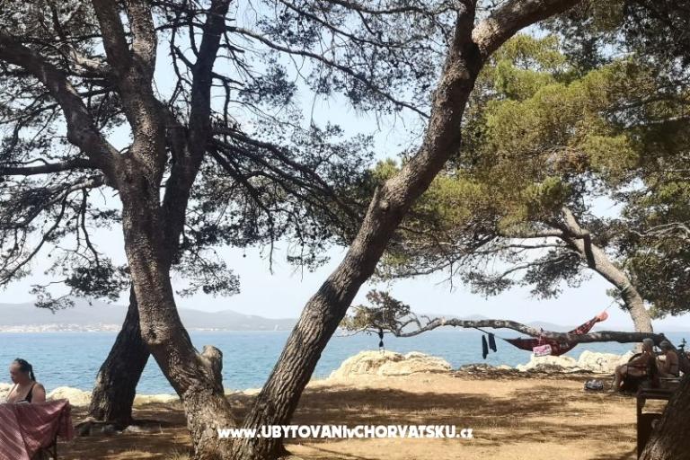 Apartmani Asea Zadar – foto 6