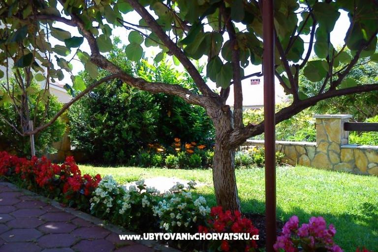Zadar Apartmani Buljan – foto 5