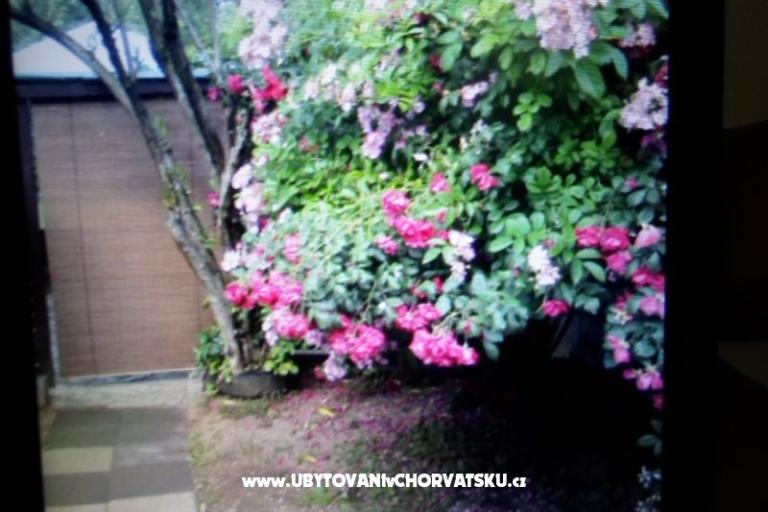 Apartmani Floresita – foto 16