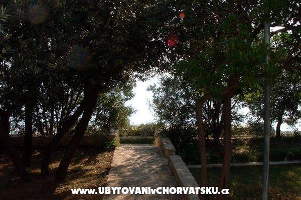 Apartmani ISA – foto 6