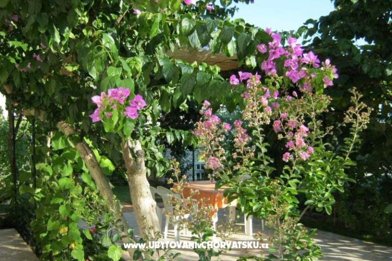 Apartmani Maja – foto 14