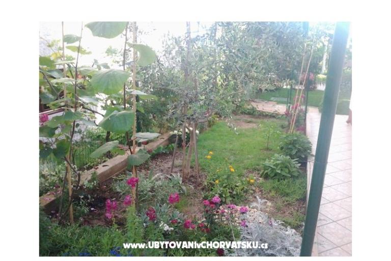 Apartmani Maja – foto 15