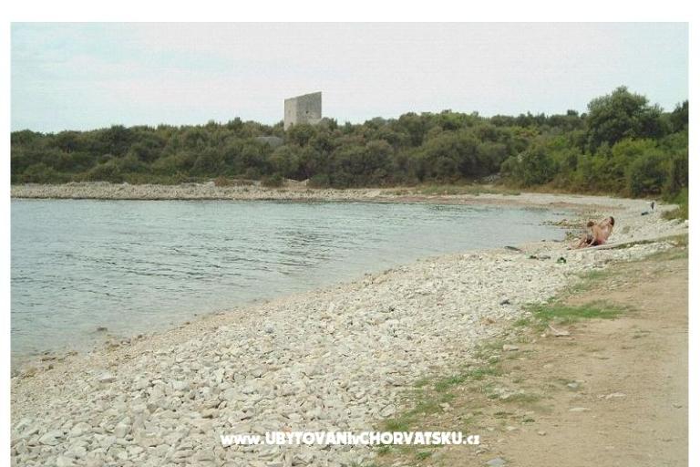 Apartmani Maja – foto 16