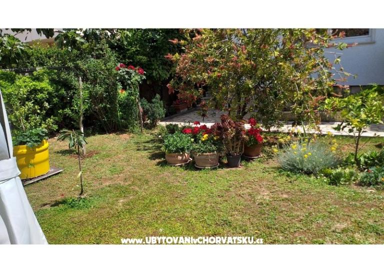 Apartmani Manda – foto 17