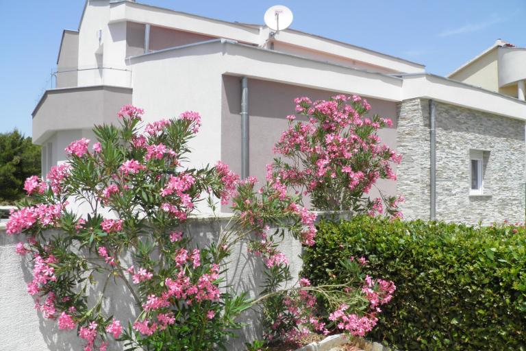 Apartmani Mirakul – foto 8