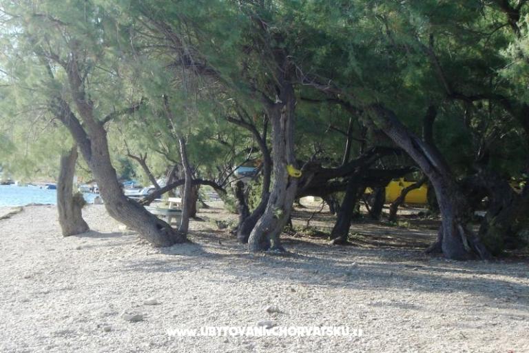Apartmani Hudi – foto 14