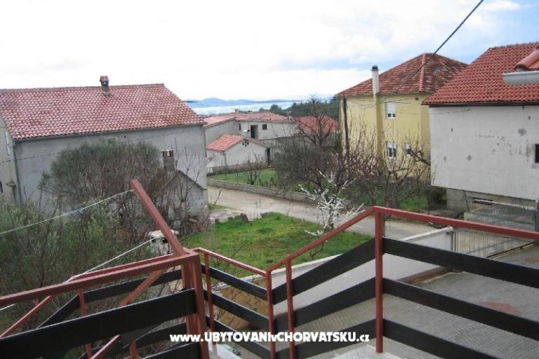 Elvis - Zadar – foto 14