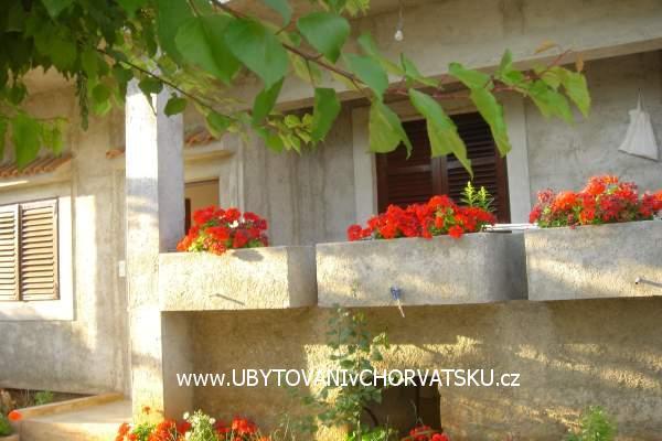 Family Kuća Matkovic – foto 4