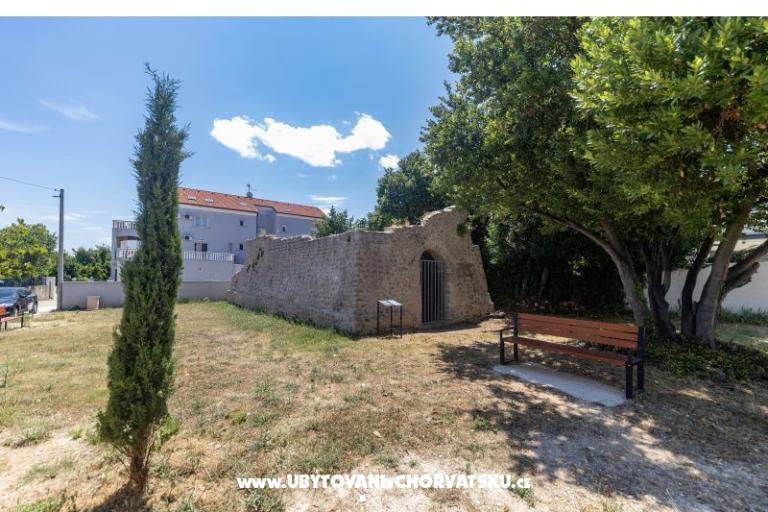 Furia Puntamika – foto 8
