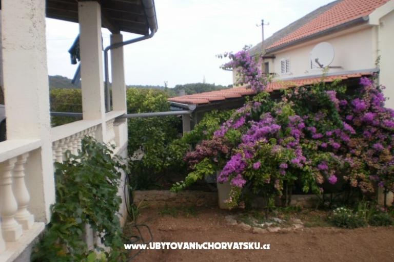 Kuća Branka – foto 16