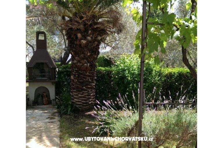 Nevena Apartmani – foto 5