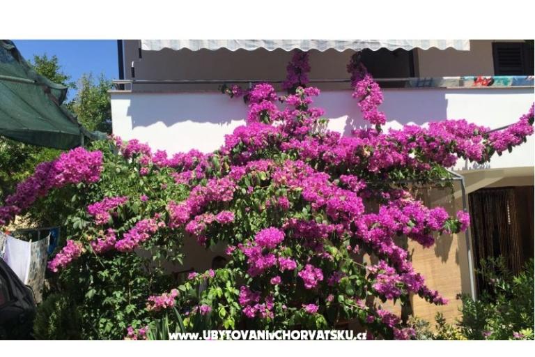 Lucija apartmani – foto 2