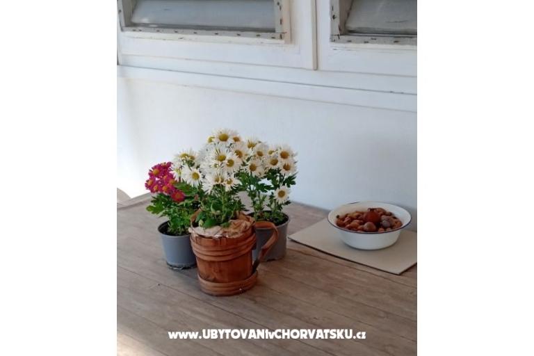 Apartman Viter – foto 5