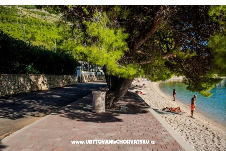 Apartmani Martinović – foto 13