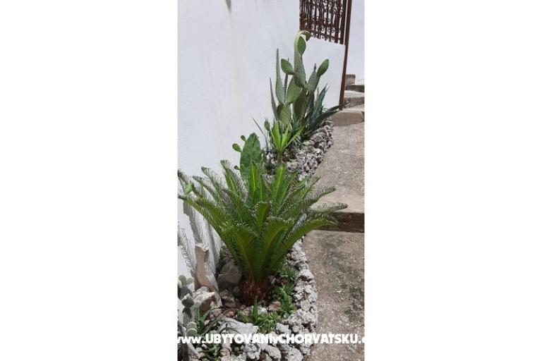 Apartmani Ružica  – foto 12