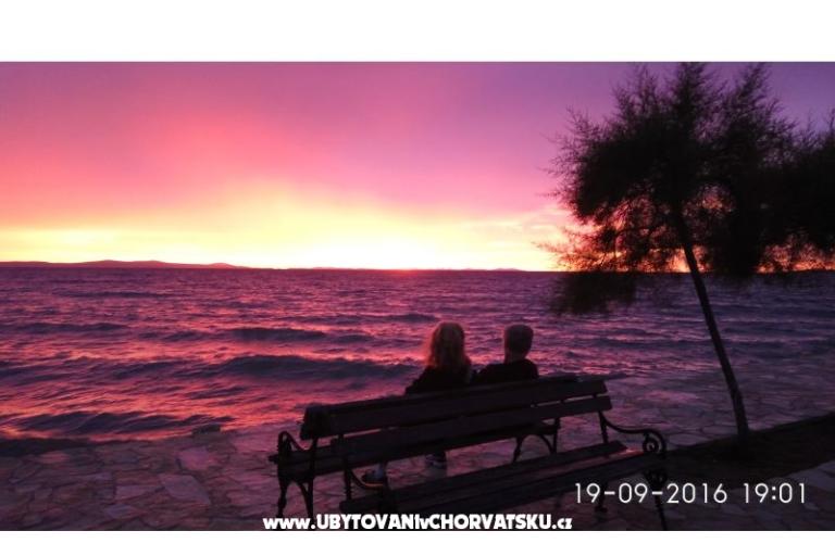 Alexis Kuća – foto 9