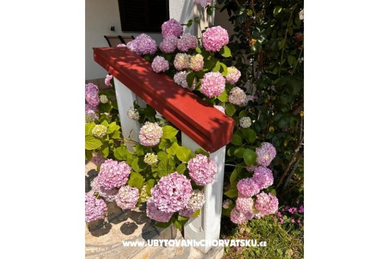 Apartmani Ana Ercegović  – foto 10