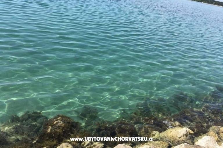 Apartmani Ana Ercegović  – foto 15