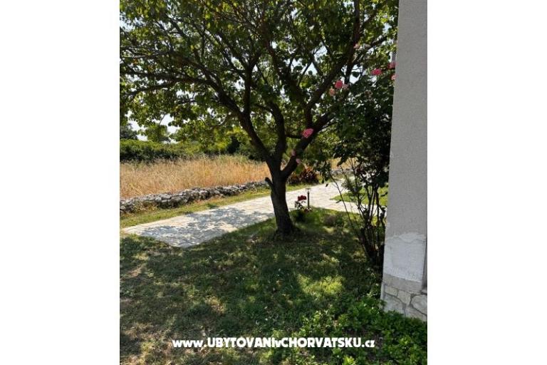 Apartmani Ana Ercegović  – foto 8
