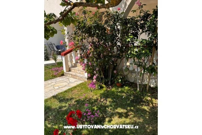 Apartmani Ana Ercegović  – foto 9
