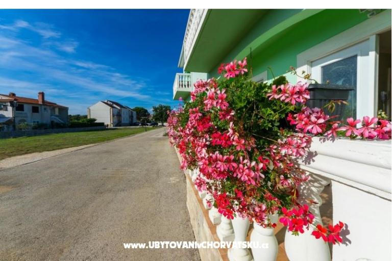 Apartmani Vesna – foto 17