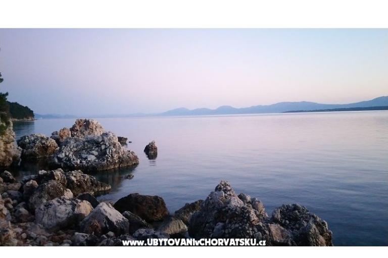 Apartmani Andrija  – foto 8