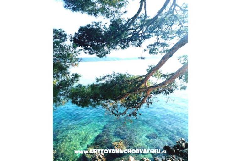 Apartmani Anita Jelaš Veža – foto 3