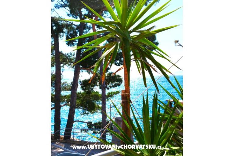 Apartmani Anita Jelaš Veža – foto 6