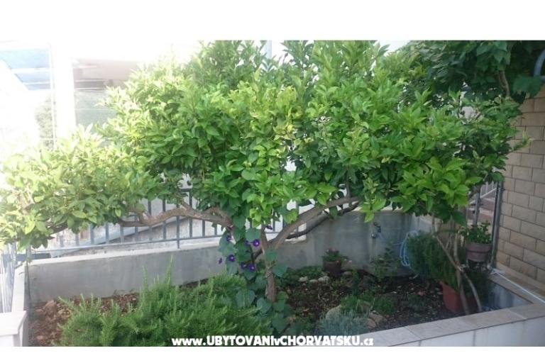 Apartmani Jovanović – foto 12