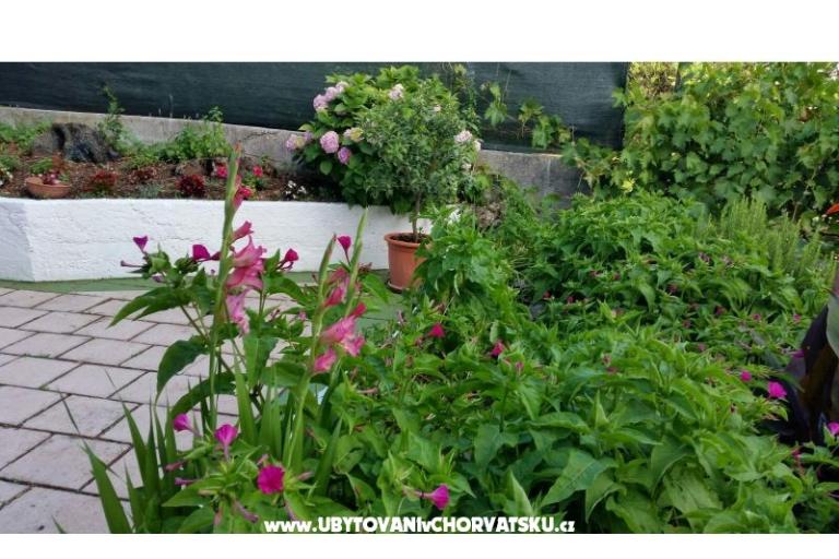 Apartmani Lily – foto 8