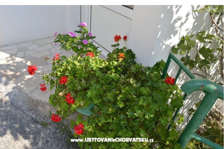 Apartmani Majstrović Živogošće – foto 12