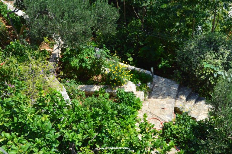 Apartmani Majstrović Živogošće – foto 6