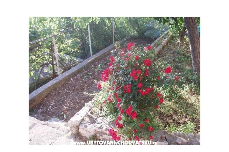 Apartmani Tiho – foto 11