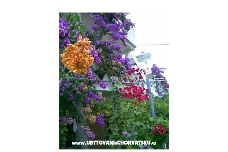 Apartmani LM – foto 18