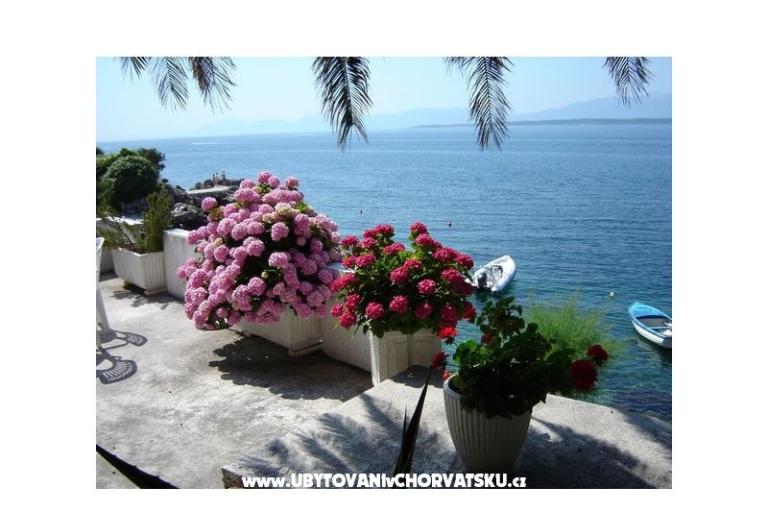 Apartmani Šapat mora – foto 9