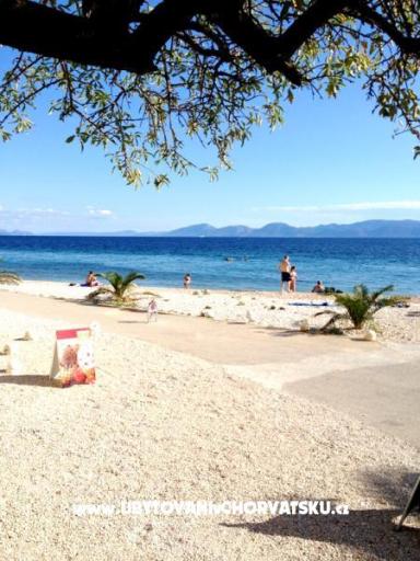 Apartmani Vila Djenka – foto 17