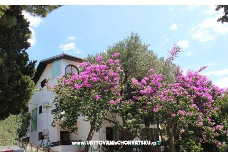 Apartmani Vila Filipovic – foto 3